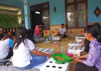 Pelatihan Hidroponik